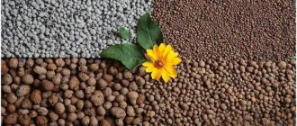 where is expanded clay gravel used?
