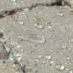 Hydrophobic coating for concrete