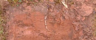 Clay soils