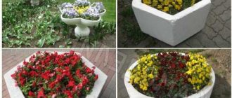 DIY concrete flower beds