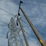 installation of wooden power line supports