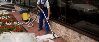 Cleaning paving slabs